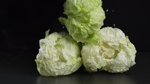 A Head of Green Beijing Cabbage