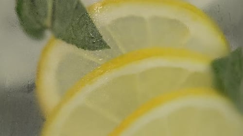 Refreshing Lemon and Mint Infused Water