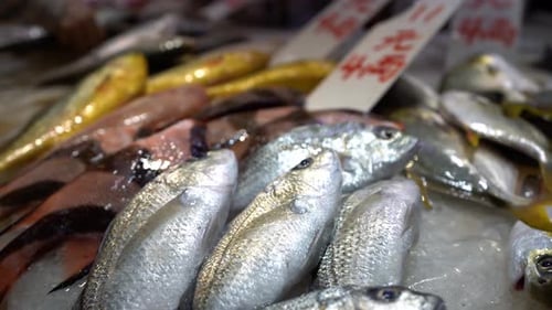 Close shot of fresh fishes on the fish market of Hong Kong