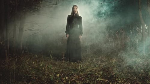 Woman wearing black dress standing in foggy forest