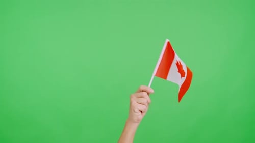 Canadian Flag Waving on Green Screen