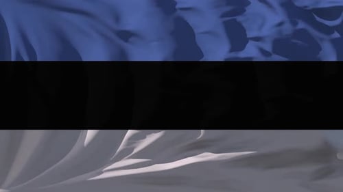 Waving Blue Black White Flag Looping Background