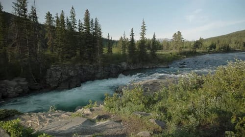 A tranquil mountain river courses energetically through a verdant forest as the evening sun bathes t