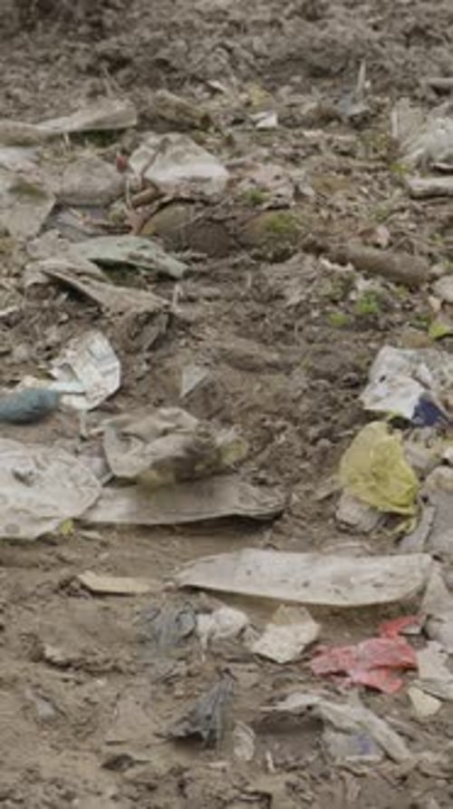 Close up of Dirty Waste and Polluted Environment