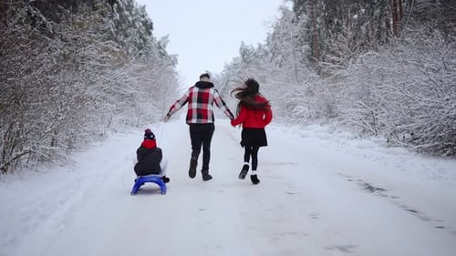 Parents and Children Go Sledding in Winter