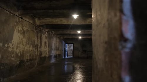 A Dimly Lit Gas Chamber at Auschwitz with Cold Concrete Walls a Haunting Reminder of the Holocaust's