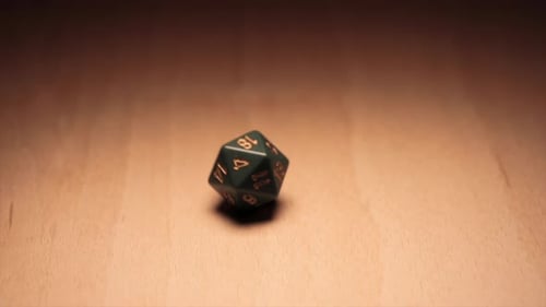 One D20 dice is rolled, picked up and rolled again.