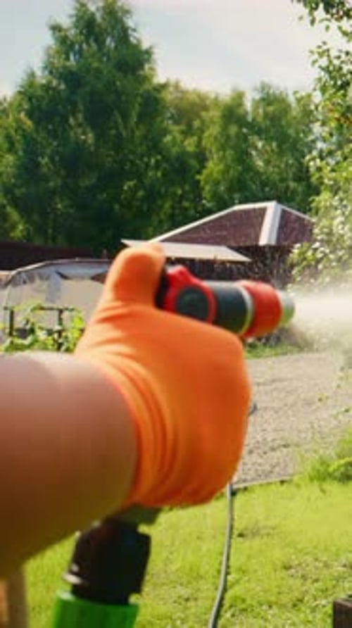 Regar plantas com um bocal de pulverização em um jardim exuberante para promover o crescimento e cores vibrantes das flores