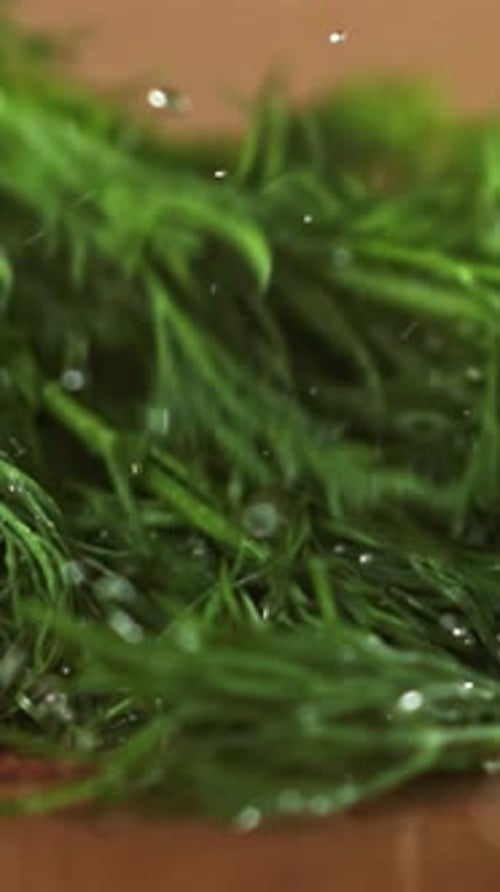 Dill Falls on a Wooden Plank Filmed on a Highspeed Camera at 1000 Fps