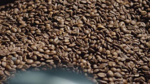 Coffee Beans Roasting Inside Industrial Machine