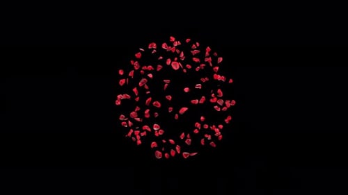 Red Heart Petal Confetti Explosion