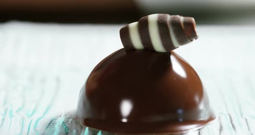 Chocolate Dome Dessert with Elegant Garnish