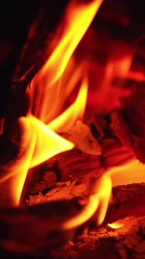 Beautiful red hot embers of burning out wood. Close up. Two sticks are still burning. Vertical video