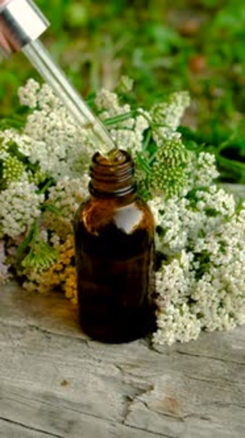 Essential Oil Bottle and Pipette with White Flowers