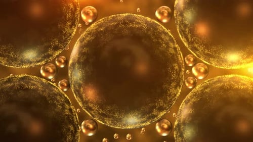 Premium Stage Spotlights Royal Awards Design Christmas Glittering Glowing Snowflakes Particles