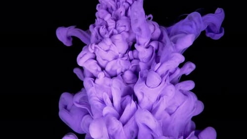 Purple Ink Swirling on Black Background