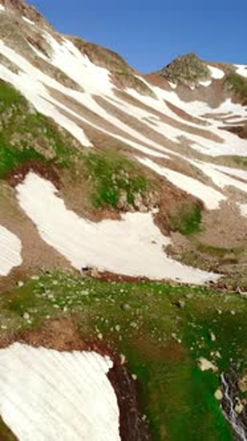Wildblumen blühen inmitten des schmelzenden Bergschnees, strahlender Frühlingstag mit fließenden Bächen und Blühungen