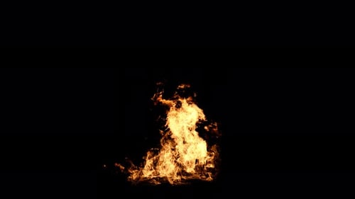 Dynamic Realistic Fire Flames Animated Loop