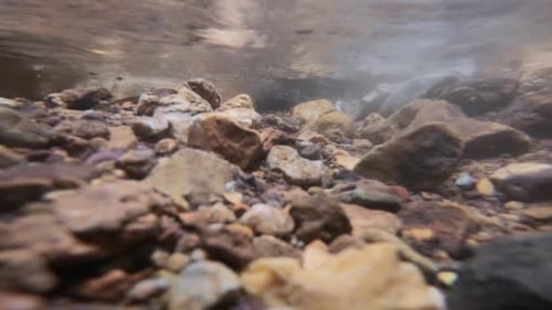 Eine Hand hob einen Stein aus dem Wasser