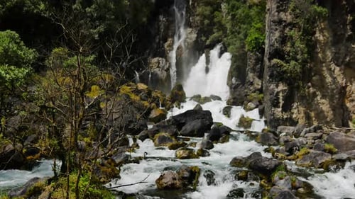 Neigungsaufnahme eines idyllischen Wasserfalls, der in einen tropischen moosbewachsenen Bach fließt, umgeben von Dschungel