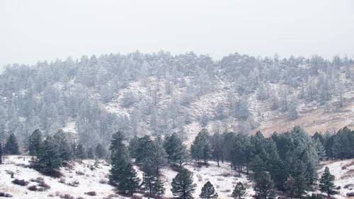 Tranquil Snowy Mountain Landscape, Rolling Hills in Northern Colorado, Winter Months