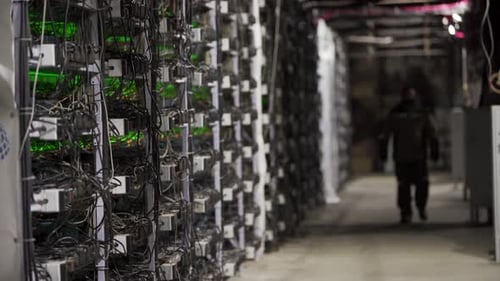 Data Center Diagnostics Technician Walks Along the Mining Equipment Racks in Server Room Network