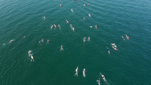 Large group of Swimmers crossing the Sea of Galilee, Aerial view