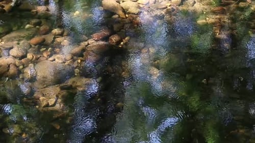 quiet river surface with sun reflections anda nice rock bottom