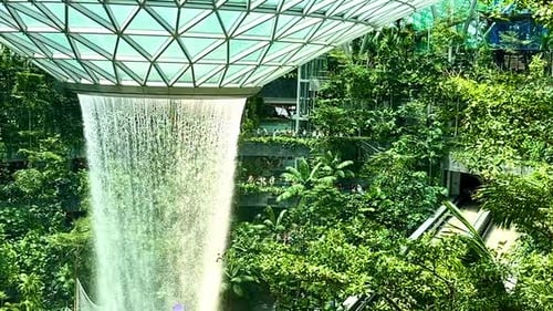 Singapore Jewel Indoor SloMo Waterfall Vortex at Changi Airport - whip pan left tree canopy