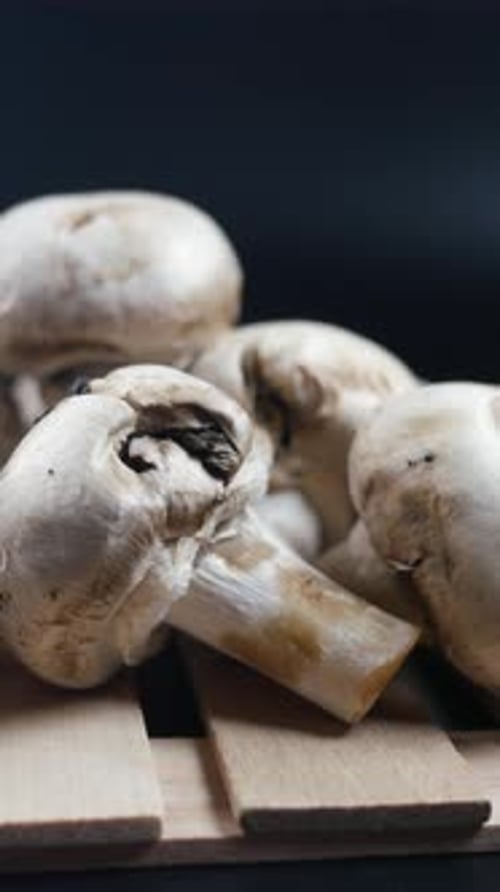 Mushroom Close Up Still Life on Wooden Pallet