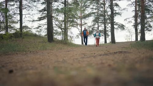 Senior Hikers Man Woman Hiking on Nature Spring Park Holding Sticks Talking Enjoying Conversation