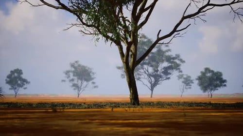 Calm Countryside Setting Featuring Lone Tree and Distant Woods