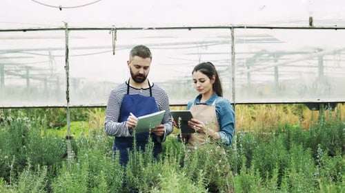 Farmers Checking Plants Growing Inside of Greenhouse