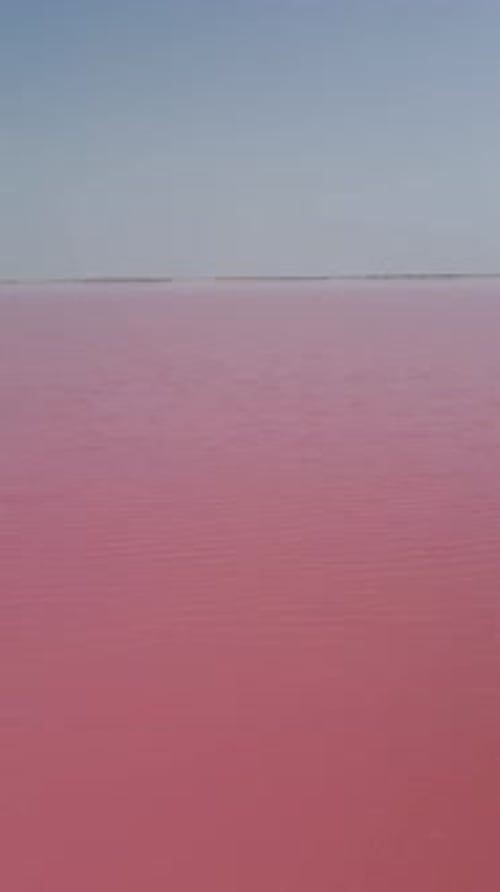 Aerial View of Pink Salt Lake Salt Production Facilities in Saline Evaporation Ponds Red and Pink