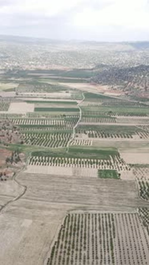 Farmland Overhead View