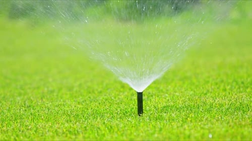 Sprinkler System Watering Lush Green Lawn