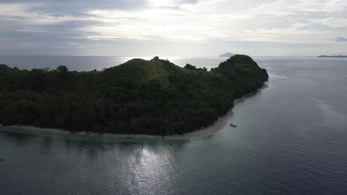 aerial view of the coastline filled with coconut trees. Tropical island