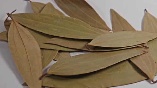 Bay leaf closeup, parallax shot, 4k.