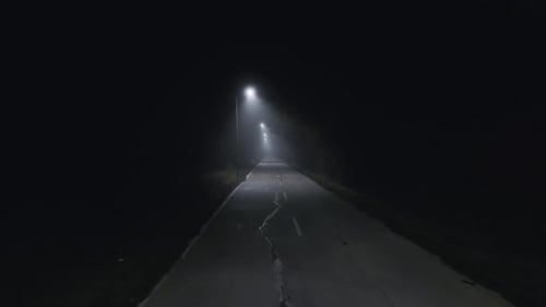 A Trip on a Rural Forest Road in a Fog at Night