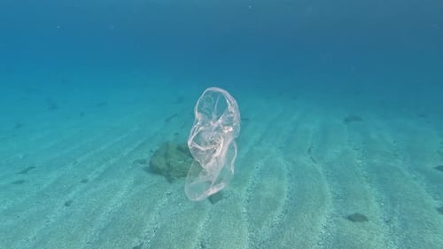 Plastic Bag Drifts Underwater Near Ocean Floor