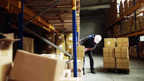 Senior Male Warehouse Worker Loading a Pallet Truck with Boxes