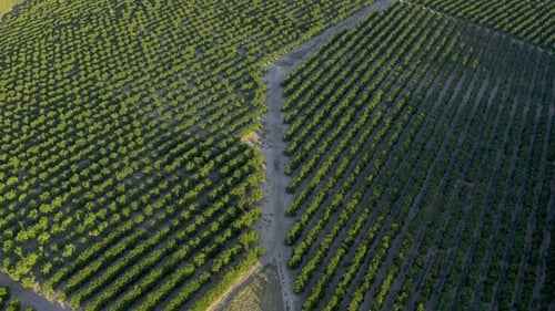 So schön die Natur nur sein kann