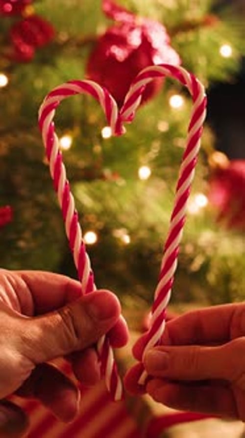 Hand Woman Decorating on Christmas Tree with Christmas Glow Lights Macro Decoration for New Year Eve