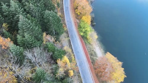 autumn road lake