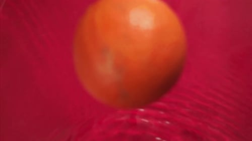 Orange Fruit