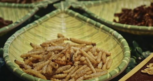 Chengdu Sichuan China Fried Mealworm