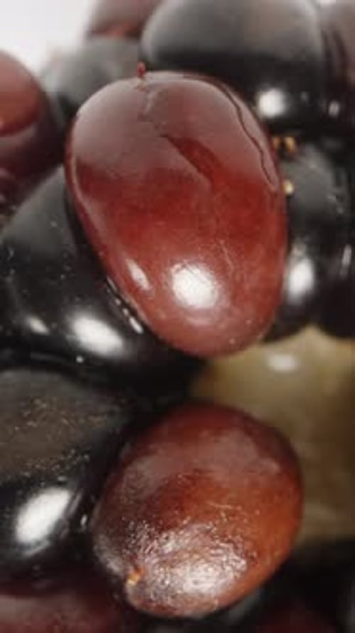 Vertical video. The blackberry on a white background rotates and appears to fall downward