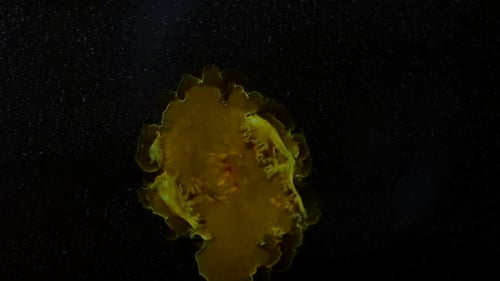 Très loin, dans le ciel lointain, des êtres sinistres se cachent - un clip vidéo abstrait entièrement naturel