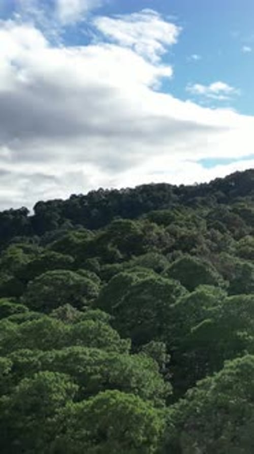 Drone rises in lush tropical forest revealing tourist colonial town of Santa Lucia, Honduras.