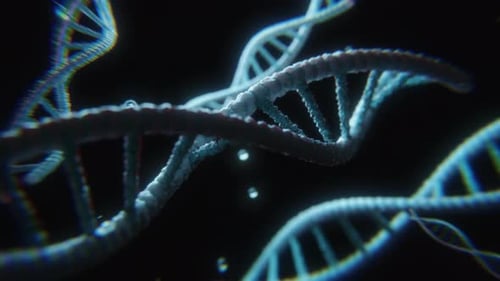 DNA Disintegration Sequence